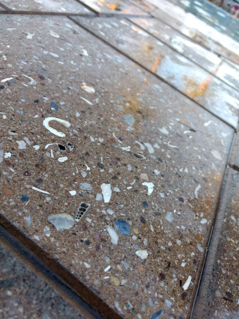 seashell terrazzo brown