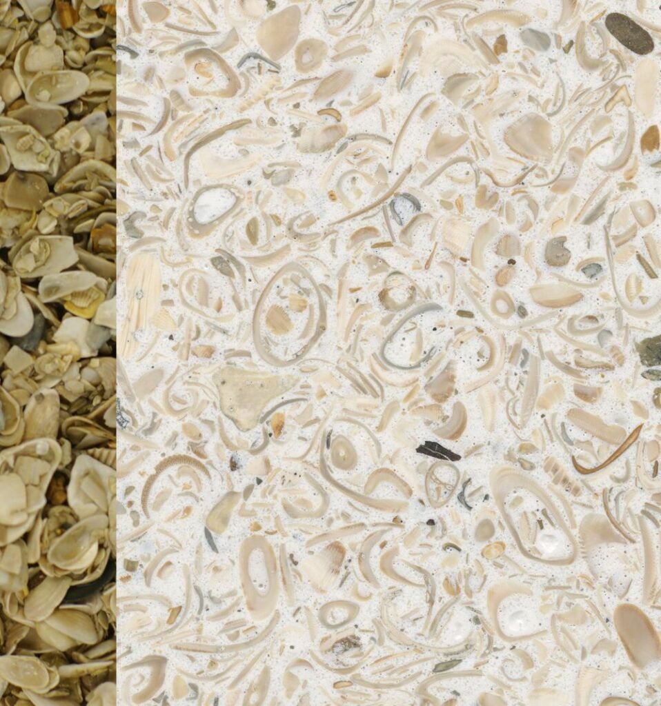 seashell terrazzo cream