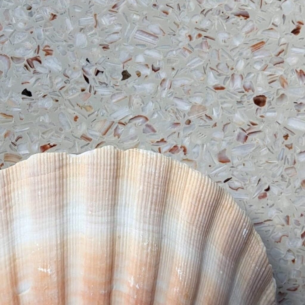 seashell terrazzo